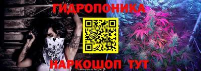 кристаллы Гусь-Хрустальный