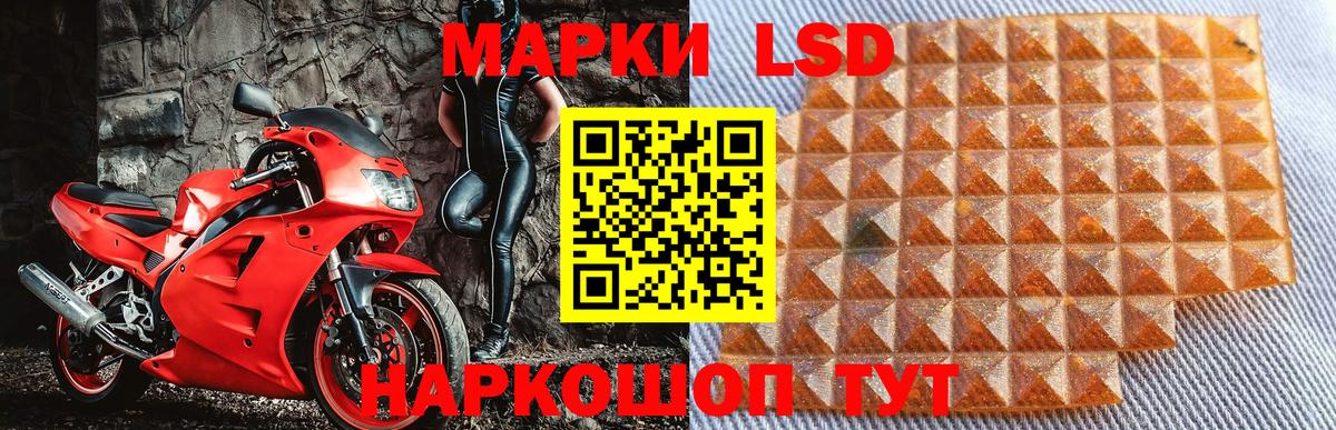Наркотические марки 1,8мг  Наркотические марки 1,8мг  Вход с VPN  Новороссийск 