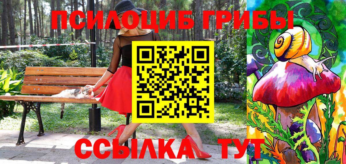 Новороссийск  Галлюциногенные грибы GOLDEN TEACHER  Псилоцибиновые грибы прущие грибы  Вход с VPN 
